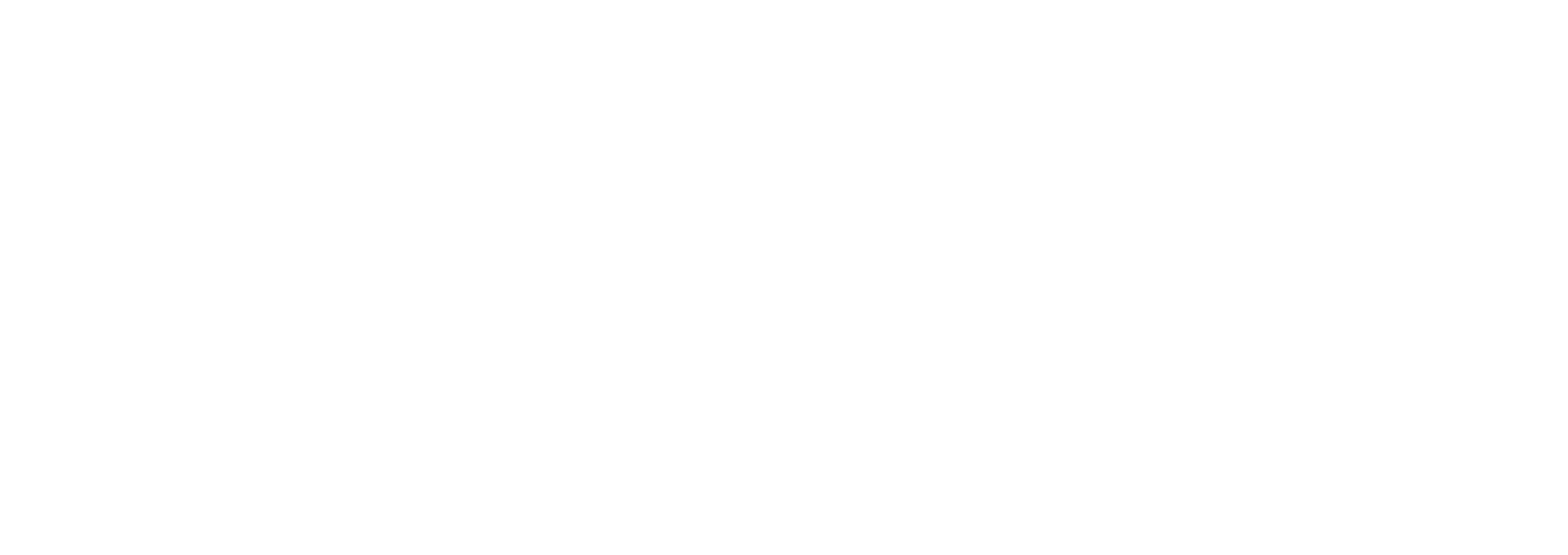 Strung Out Touring logo